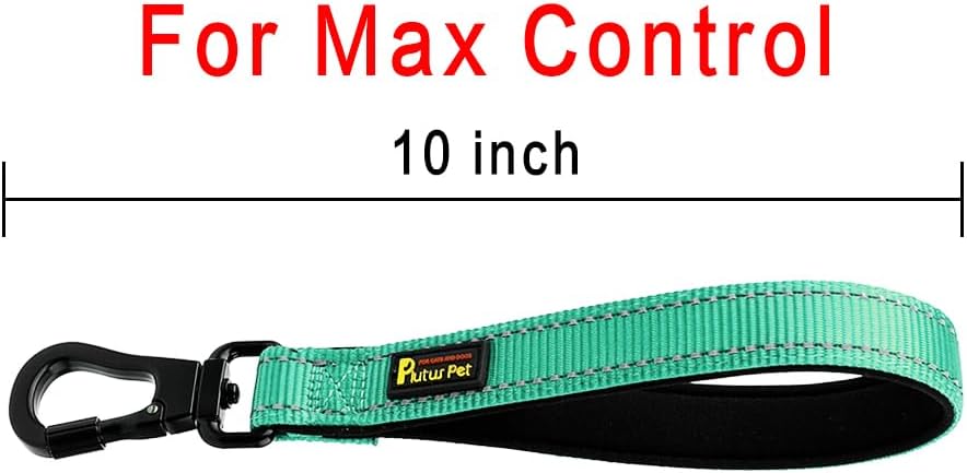 PLUTUS PET Short Dog Leash, Reflective Nylon Padded Handle, Strong Traffic Leash with Carabiner Clip, Perfect for Large or Medium Dogs (10”,Teal)