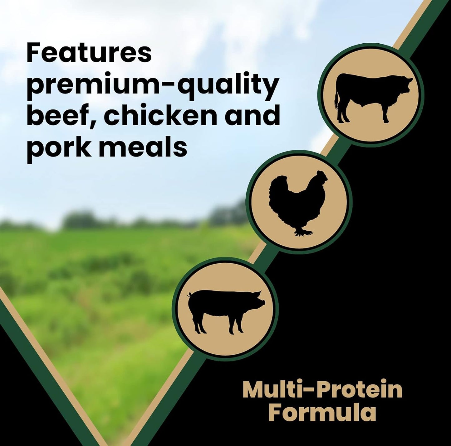 VICTOR Super Premium Dog Food – Performance Dry Dog Food from Beef, Chicken and Pork Meal – 26% Protein for Active Adult Dogs – Includes Glucosamine and Chondroitin for Hip and Joint Health, 5lbs