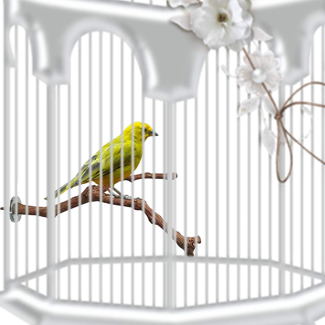 PINVNBY Parrot Perches Natural Birds Stand Wild Grape Stick Grinding Paw Climbing Wood Cage Accessories and Toy for Parakeet, Lovebirds,Budgies,Cockatiels and Finches