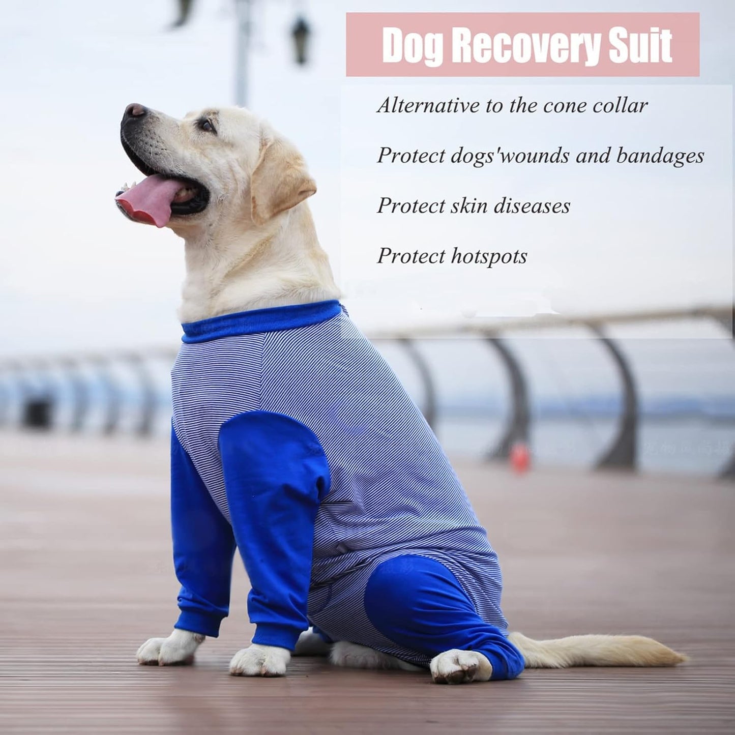 Yeapeeto Dog Onesie Surgery Recovery Suit for Large Medium Bodysuit Dogs Pajamas PJS Full Body for Shedding, Prevent Licking, Wound Protection, Cone Alternative (4X-Large (Pack of 1), Blue)