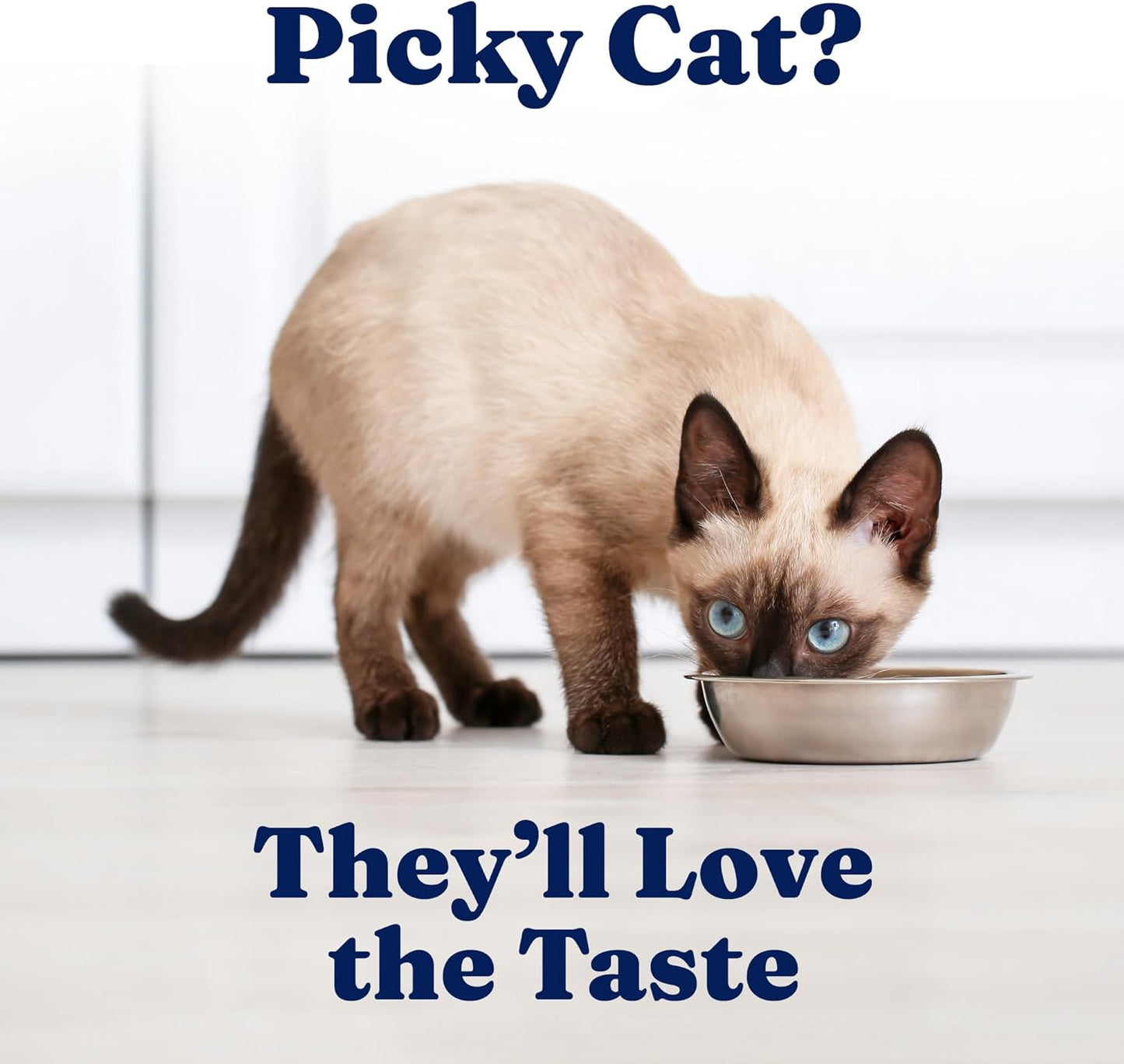 Solid Gold Wet Cat Food Pate - Healthy Canned Cat Food Pate w/Real Tuna & Sardine, Omega Fatty Acids, Vitamins & Minerals - Grain Free & Gluten Free Can Meals for Cats & Kittens - 24ct/3oz Can