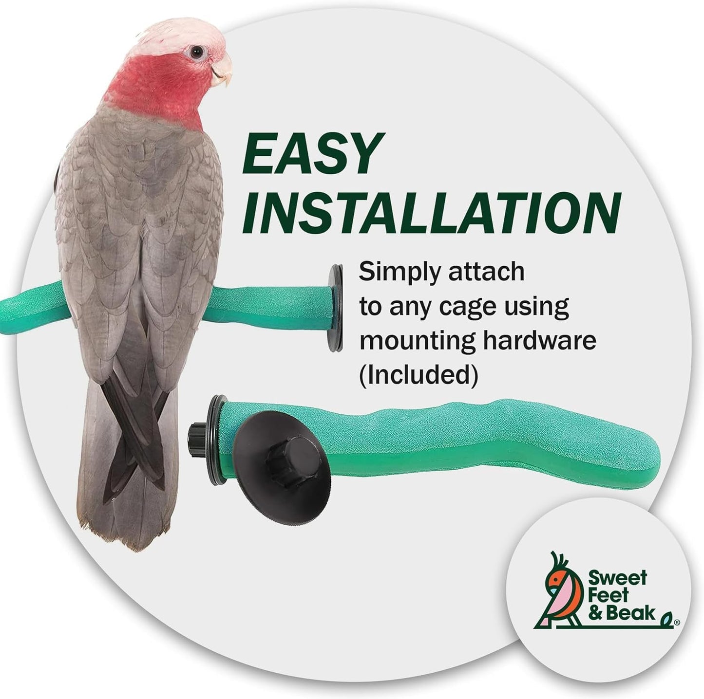 Sweet Feet & Beak Safety Pumice Bird Perch, X-Small 1/2" X 6", Green - Lightweight Grinding Bird Perches for Cage - Bird Nail Trimming Perch for Healthy Beak & Feet - Multi-Size & Color Parrot Stand