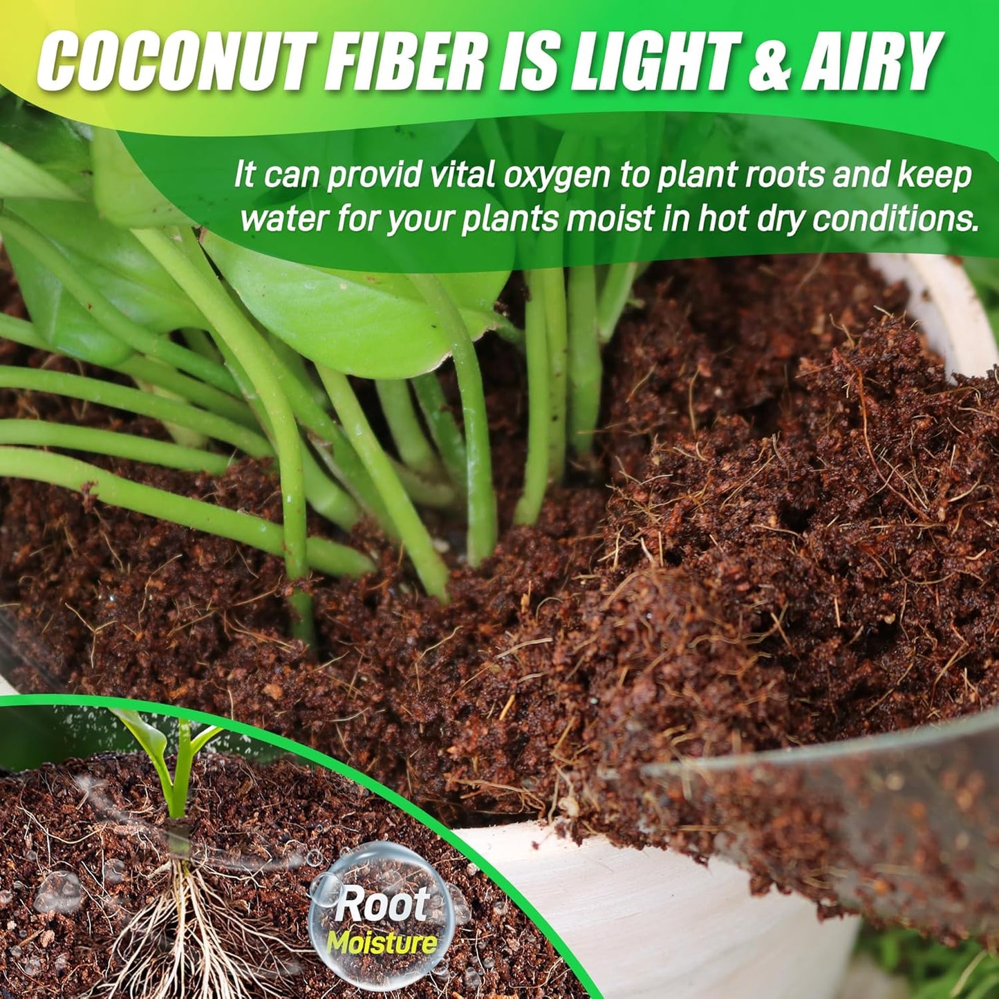 Coco Coir Brick for Plants-6 Pack Premium Coconut Bricks, 100% Organic Peat Moss, Fiber Coconut Husk for Planting, Gardening, Potting Soil Substrate