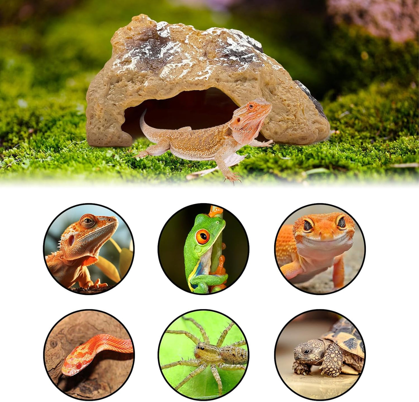 Reptile Hide Cave,Resin Rock for Reptile and Amphibians,Terrarium & Aquarium Habitat Hideout for Bearded Dragons,Lizards,Snakes,Turtles,Geckos,Ball Pythons(Small)