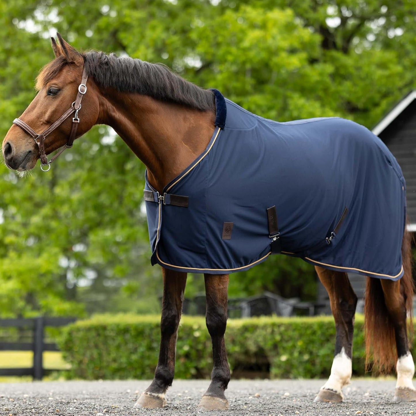 HORZE Warren Soft Adjustable Genuine Leather Horse Halter | Stainless Steel Hardware - Light Brown - Horse