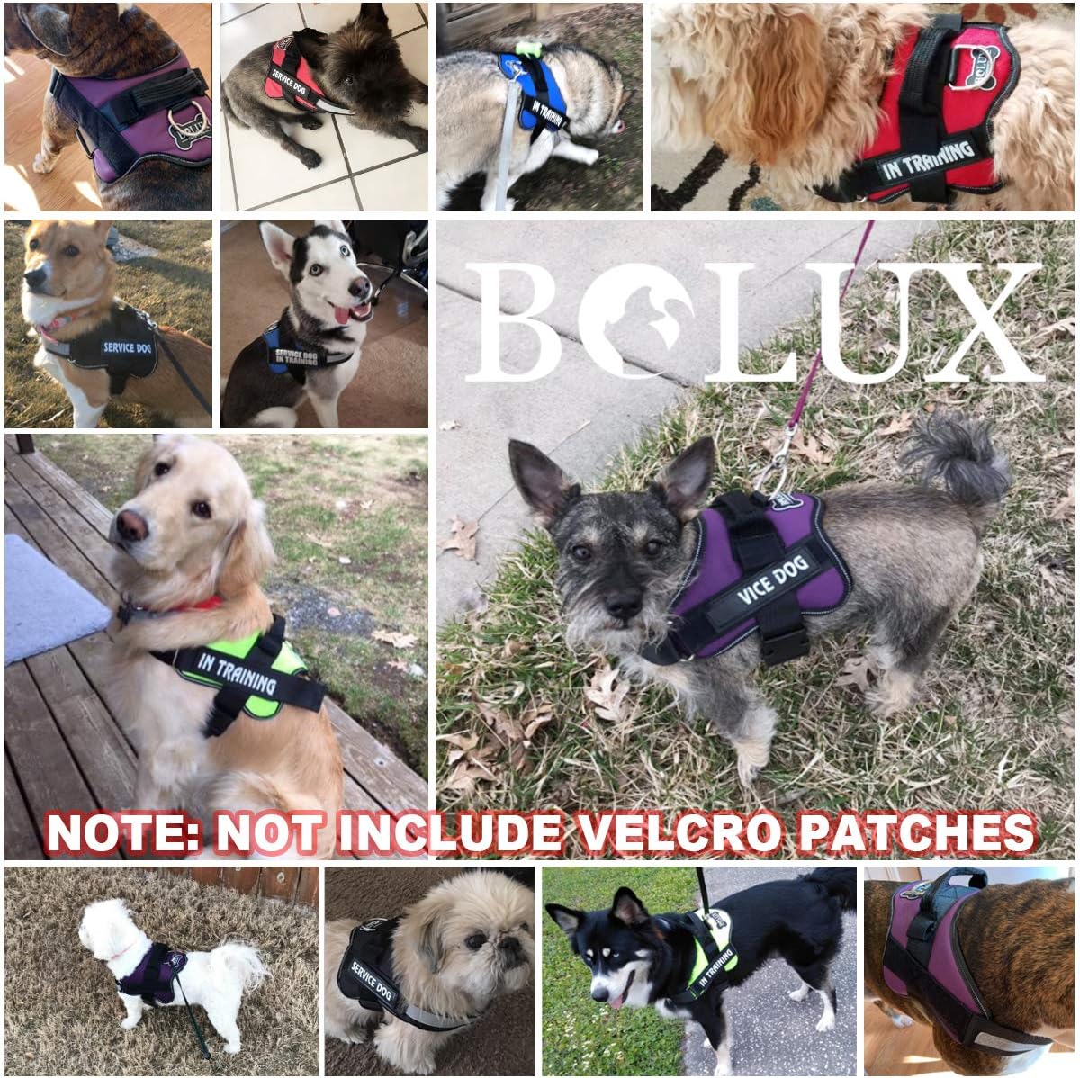 Bolux Dog Harness, No-Pull Reflective Dog Vest, Breathable Adjustable Pet Harness with Handle for Outdoor Walking - No More Pulling, Tugging or Choking (Blue, XL)