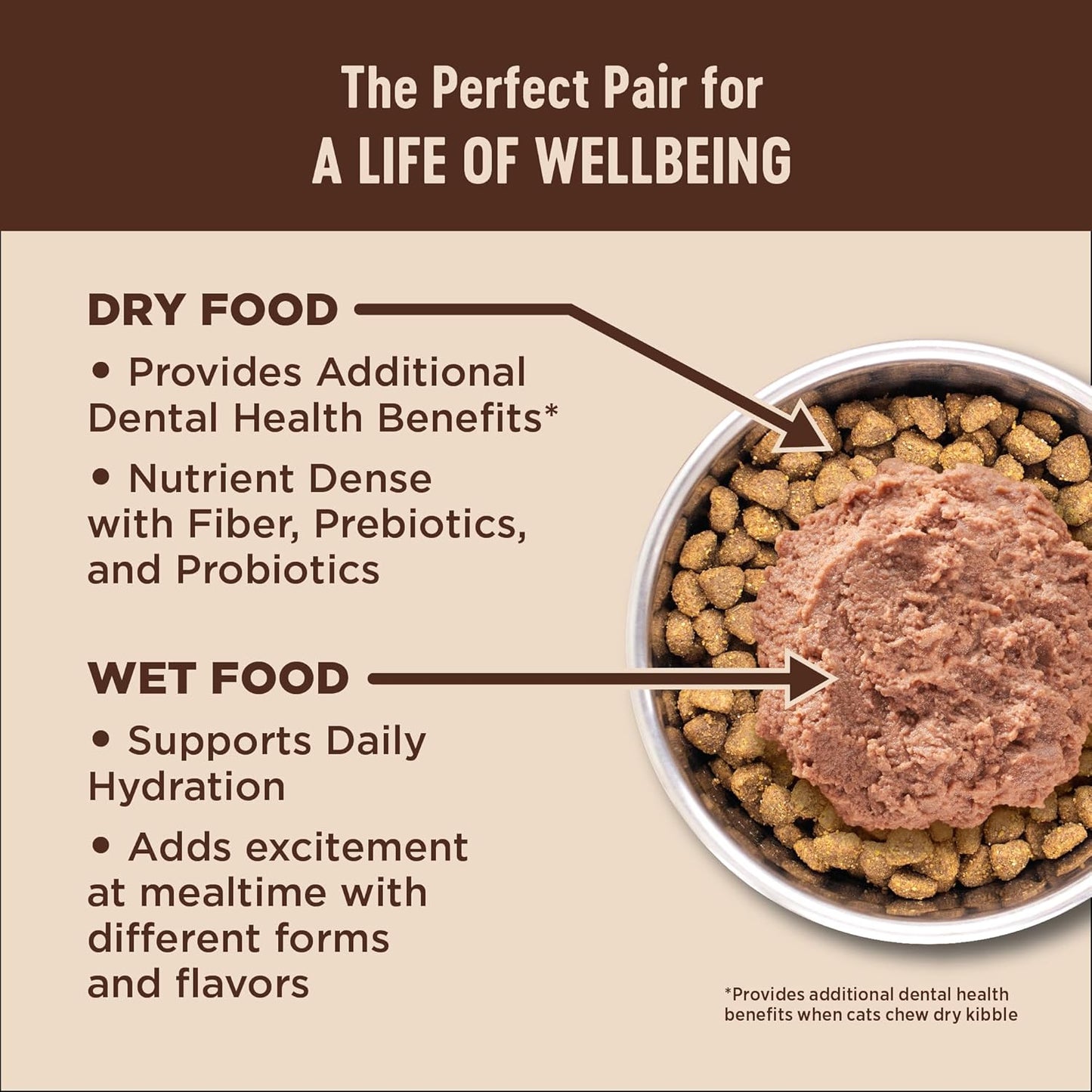 Wellness CORE+ Indoor Pate Adult Wet Cat Food, Natural, Protein-Rich, Grain Free, 5.5 Ounce, 24 Pack (Chicken & Chicken Liver)