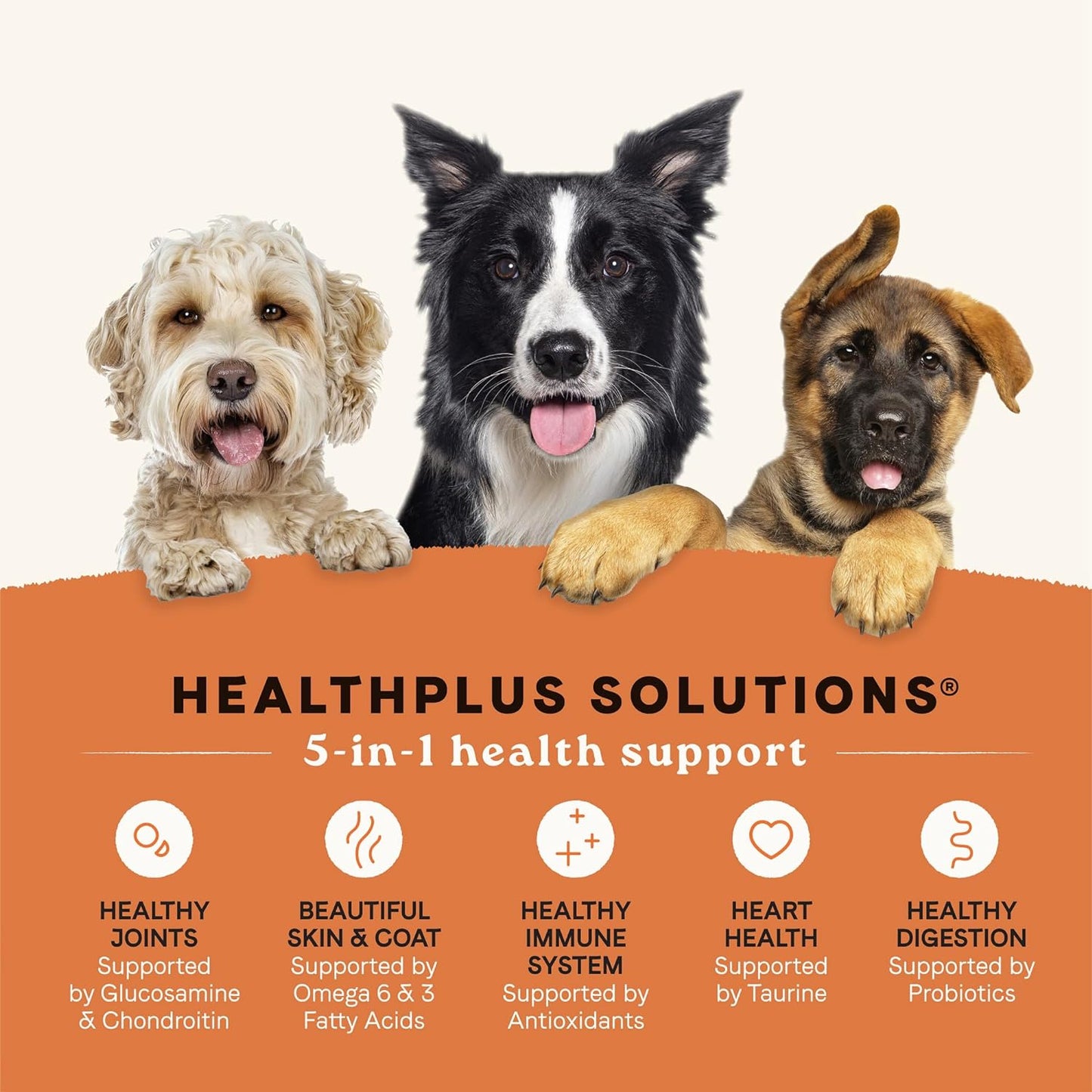 Canidae All Life Stages Multi-Protein Recipe with Chicken, Turkey, Lamb, and Fish – High Protein Premium Dry Dog Food for All Ages, Breeds, and Sizes– 5 lbs.