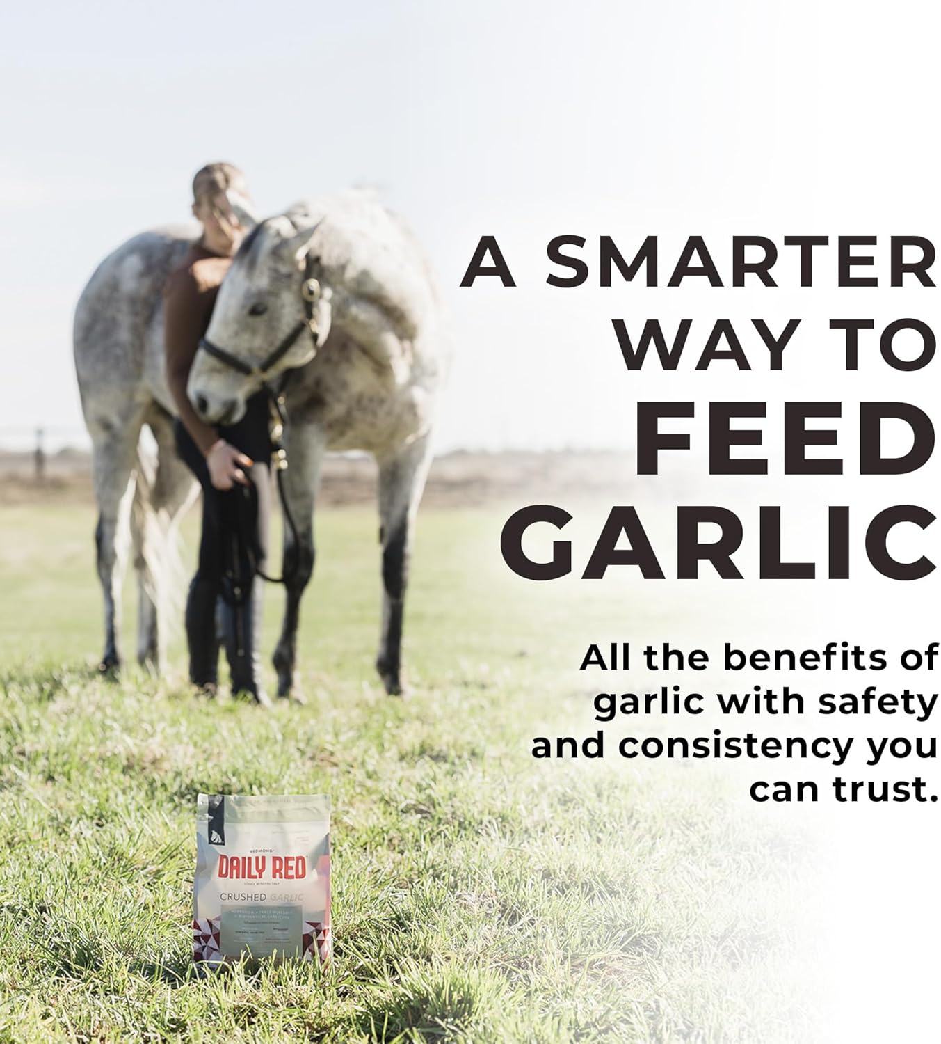 REDMOND Daily RED Crushed - Mineral Supplement for Horses (Garlic (5 LB))