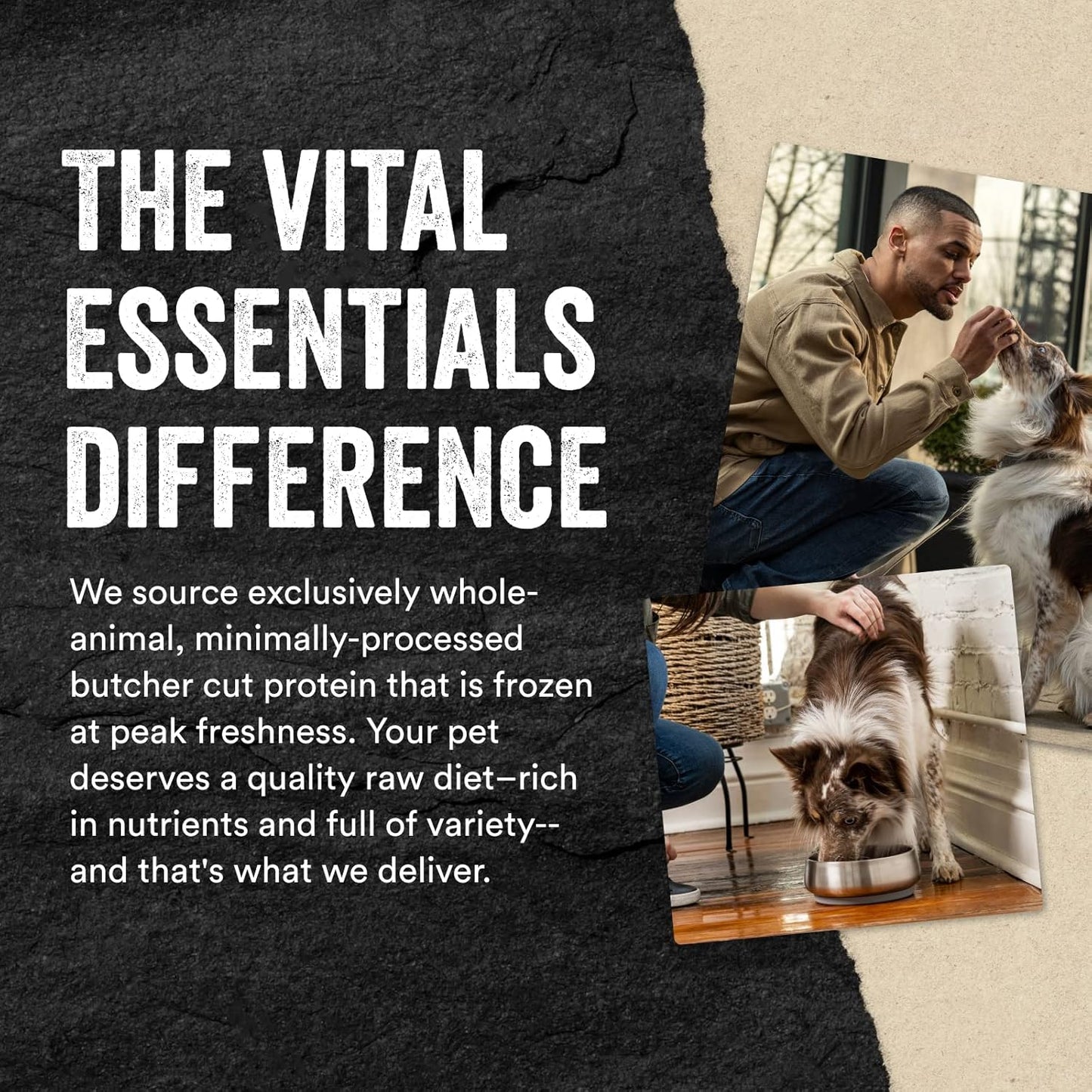 Vital Essentials Chicken Breast Dog Treats, 2.1 oz | Freeze-Dried Raw | Single Ingredient | Premium Quality High Protein Training Treats | Grain Free, Gluten Free, Filler Free