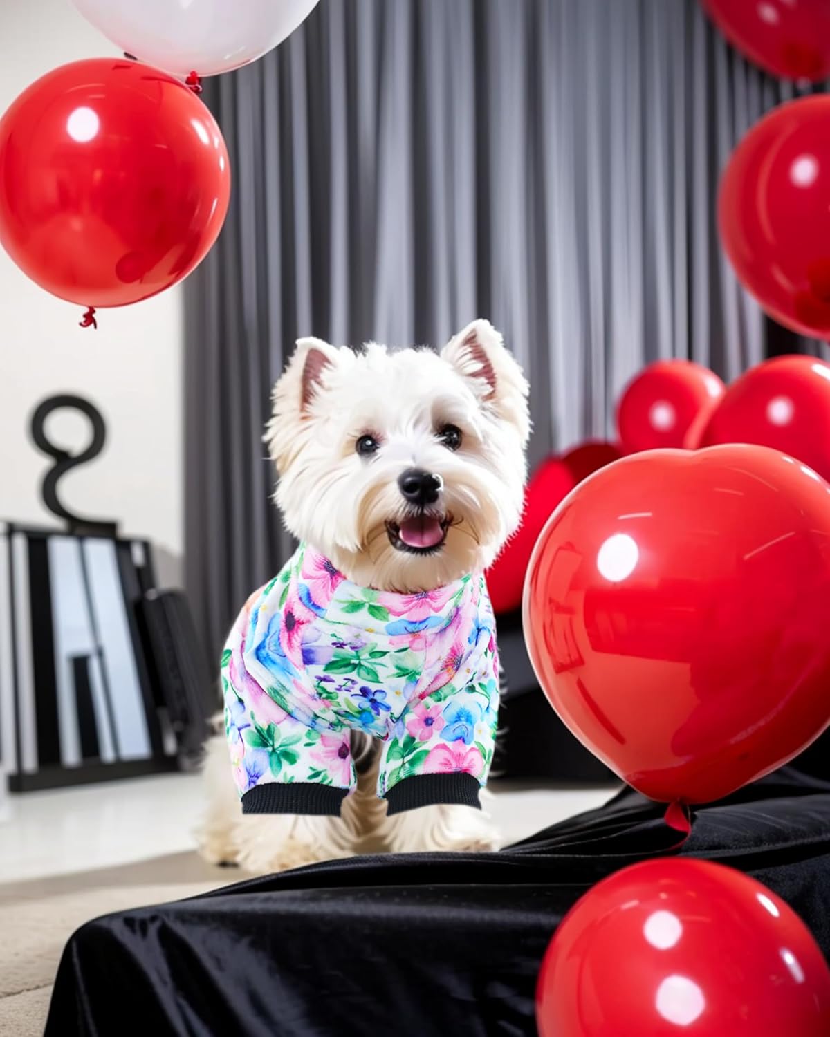 PET SHOW 4 Pack Small Dog Pajamas Cute Paw Bone Clothes for Medium Dogs Soft Stretchy PJs Plaid Jumpsuit Puppy Cats Floral Fruits Onesies Outfits with Sleeve Pets Dachshund Costume(S, Pink for Girls)