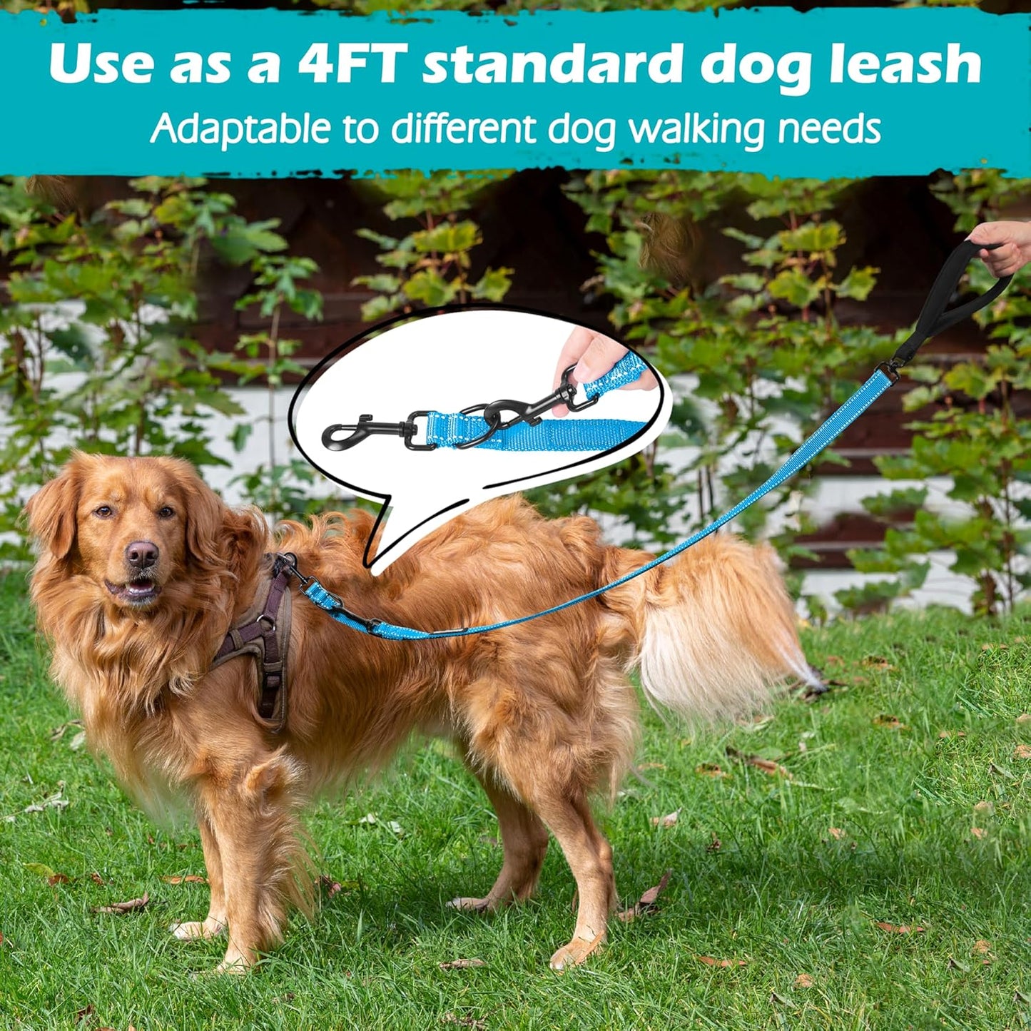 PetBonus Two Point Control Dog Leash, Works with No Pull Harnesses, No Tangle Training Leashes, Soft Padded and Reflective Walking Lead, Converts to Single Lead for Medium Large Dogs (Light Blue)