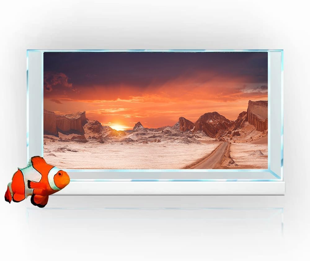 24X12IN Sun and Desert Moon Themed Reptile Habitat on Orange Durable Decorative Background, Terrarium Background with 10EVA Double-Sided Tape