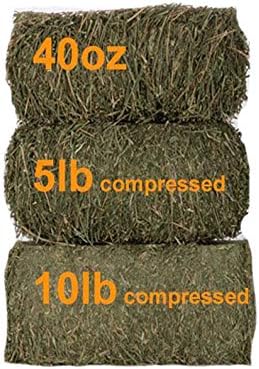 Grandpa's Best Orchard Grass Bale, 5 lbs,green