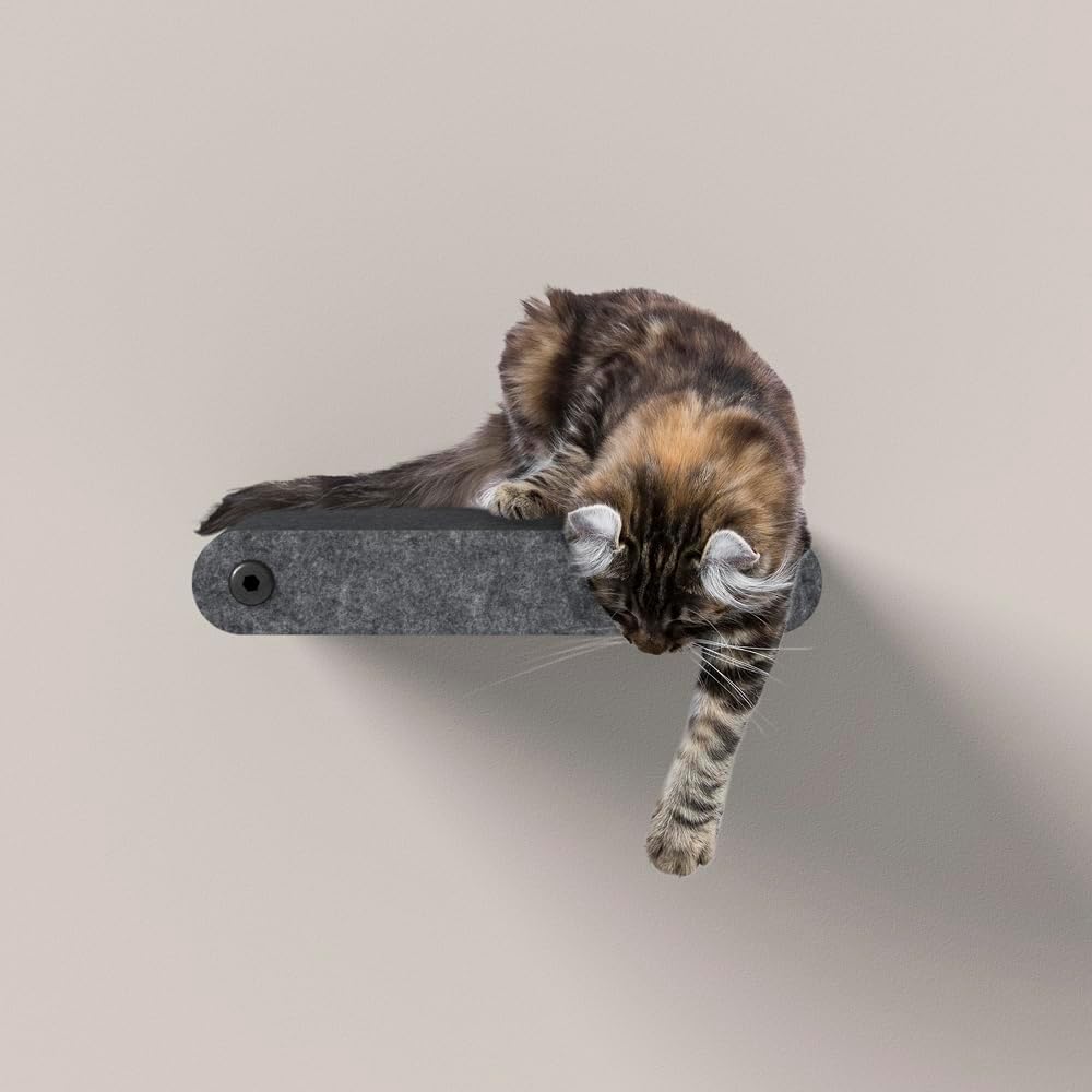 Wall Mounted Cat Steps Short Shelves (2) by Pryde Pets - Stairs for Walkways, 100% Sustainable PET Felt Feline Enrichment Climber Furniture for Indoor Cats, Modern Climbing Gym Design (Charcoal)
