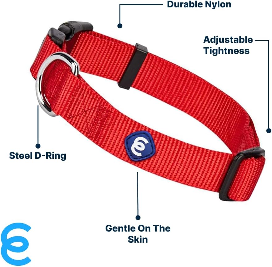 Blueberry Pet Essentials Medium Dog Collar in Rouge Red | Adjustable & Eco-Friendly Durable Nylon Strap | Classic Collar for Medium Dogs, Boy & Girl Pets