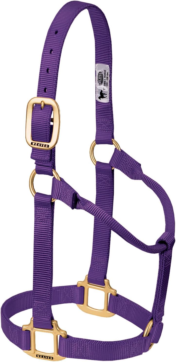 Weaver Equine Nylon Horse Halter, Triple-Ply Cheek Design, Original Non Adjustable Halters for Horses, Equine Tack,Average Size, Black