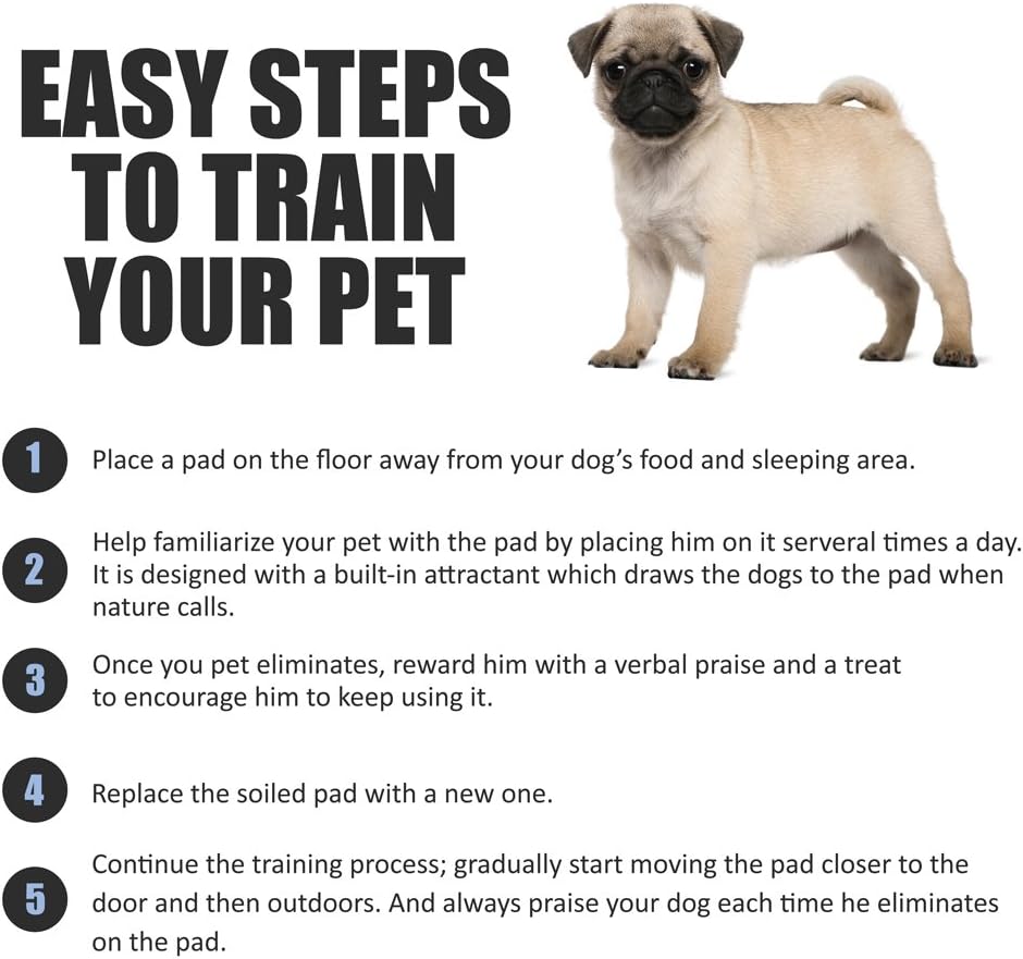 BV Puppy Pads XL 40 Count 28"x34" - Leak-Proof Pee Pads for Dogs with 6-Layer Design, Rapid Dry Sheet & Attractant - Dog Pad Extra Large with Odor Control - Perfect for Big Dogs & Indoor Use
