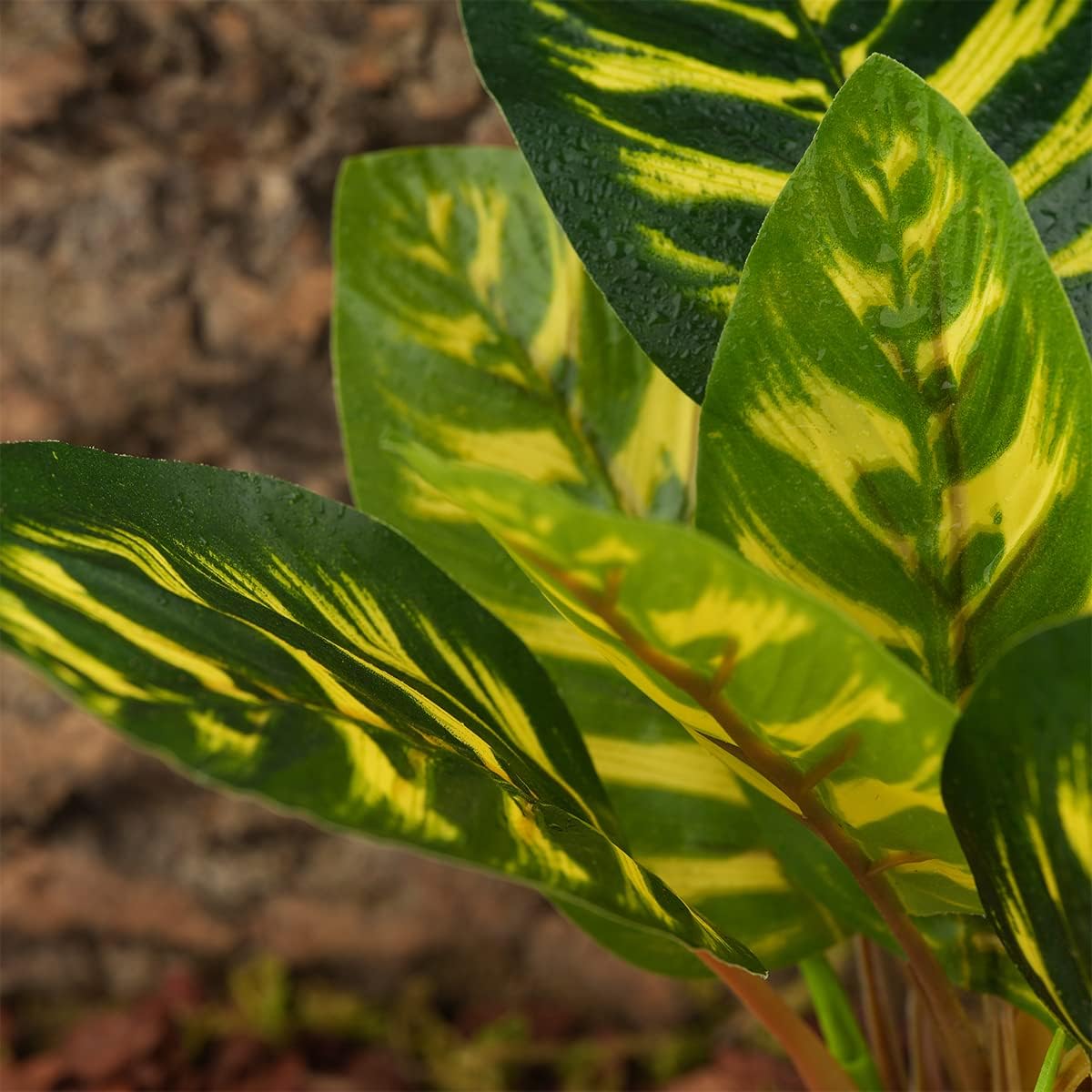 Reptile Terrarium Decor Plants, Bearded Dragon Tank Accessories fit Crested Gecko Leopard Lizard Chameleon Ball Python Snake Frog - Yellow Fake Prayer Peacock Plants