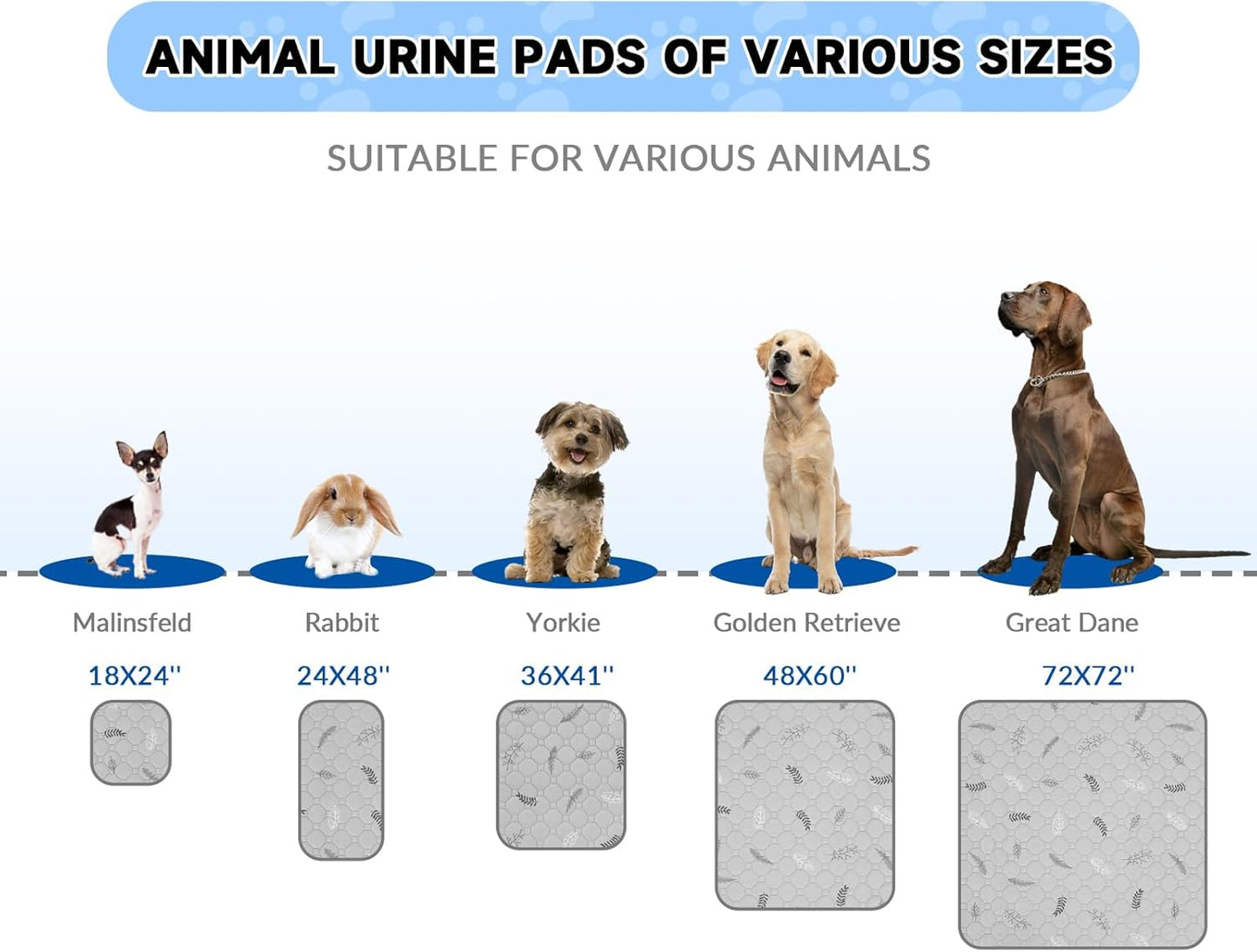 Sunheir 2 Pack Washable Guinea Pig Pee Pads, 24" x 48" Waterproof Reusable Guinea Pig Cage Liners, Absorbent Bedding Training Mat for Small Animal Guinea Pigs Rabbit Bunny Hamster - Sky Blue