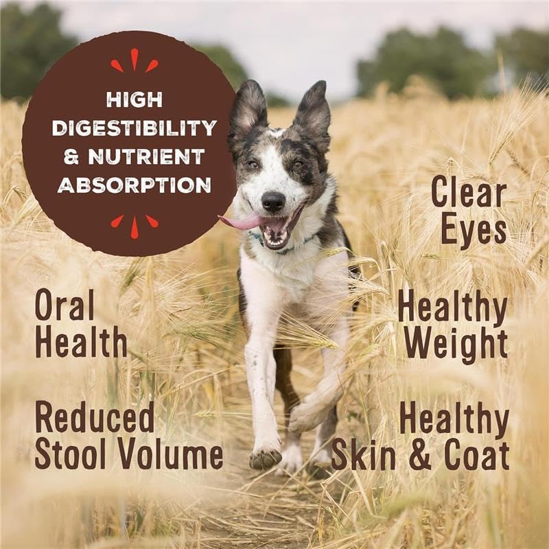 Primal Freeze Dried Raw Dog Food Nuggets, Lamb, Complete & Balanced Meal, Also Use as Topper or Treat, Premium, Healthy, Grain Free, High Protein Raw Dog Food, 5.5 oz