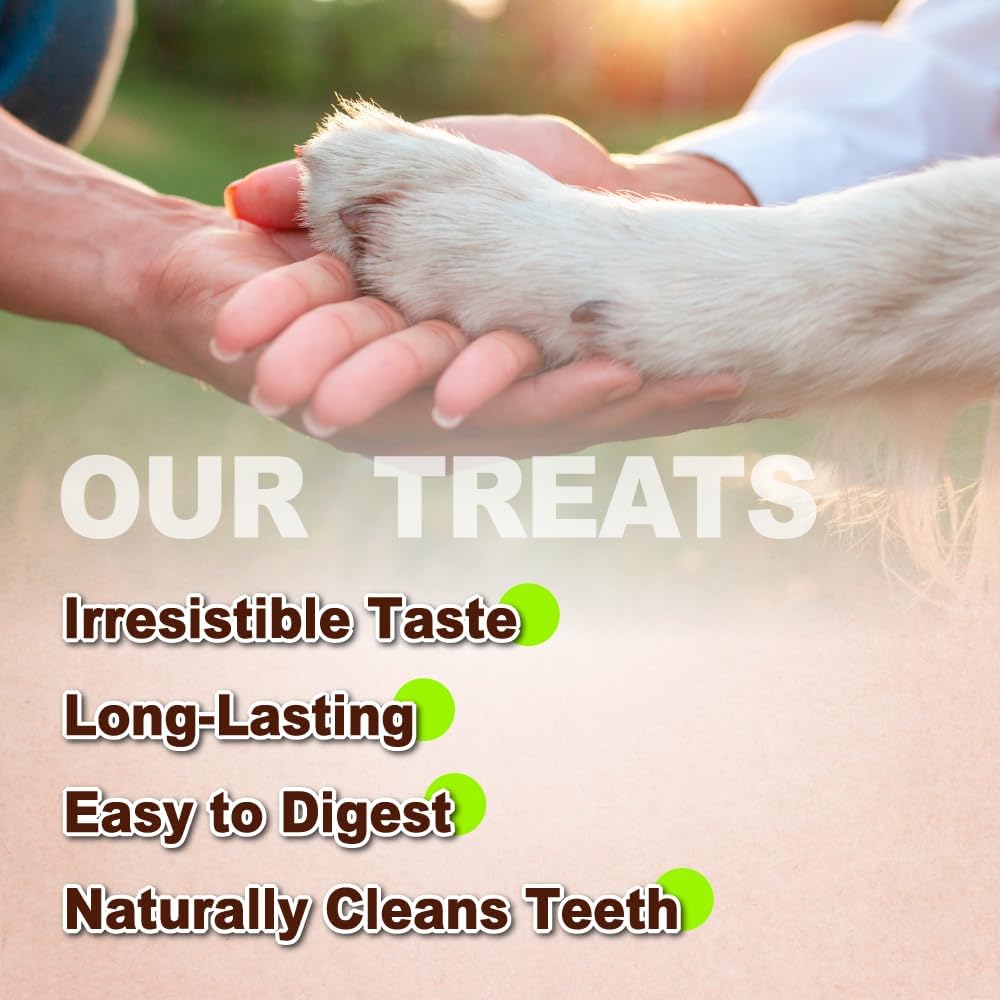 Afreschi Natural Turkey Tendon Bone (L) 3.53 oz, USA-Sourced Turkey Tendon, All Natural Human Grade Dog Chew, Hypoallergenic, Rawhide Alternative, Dog Treats for Large Breeds