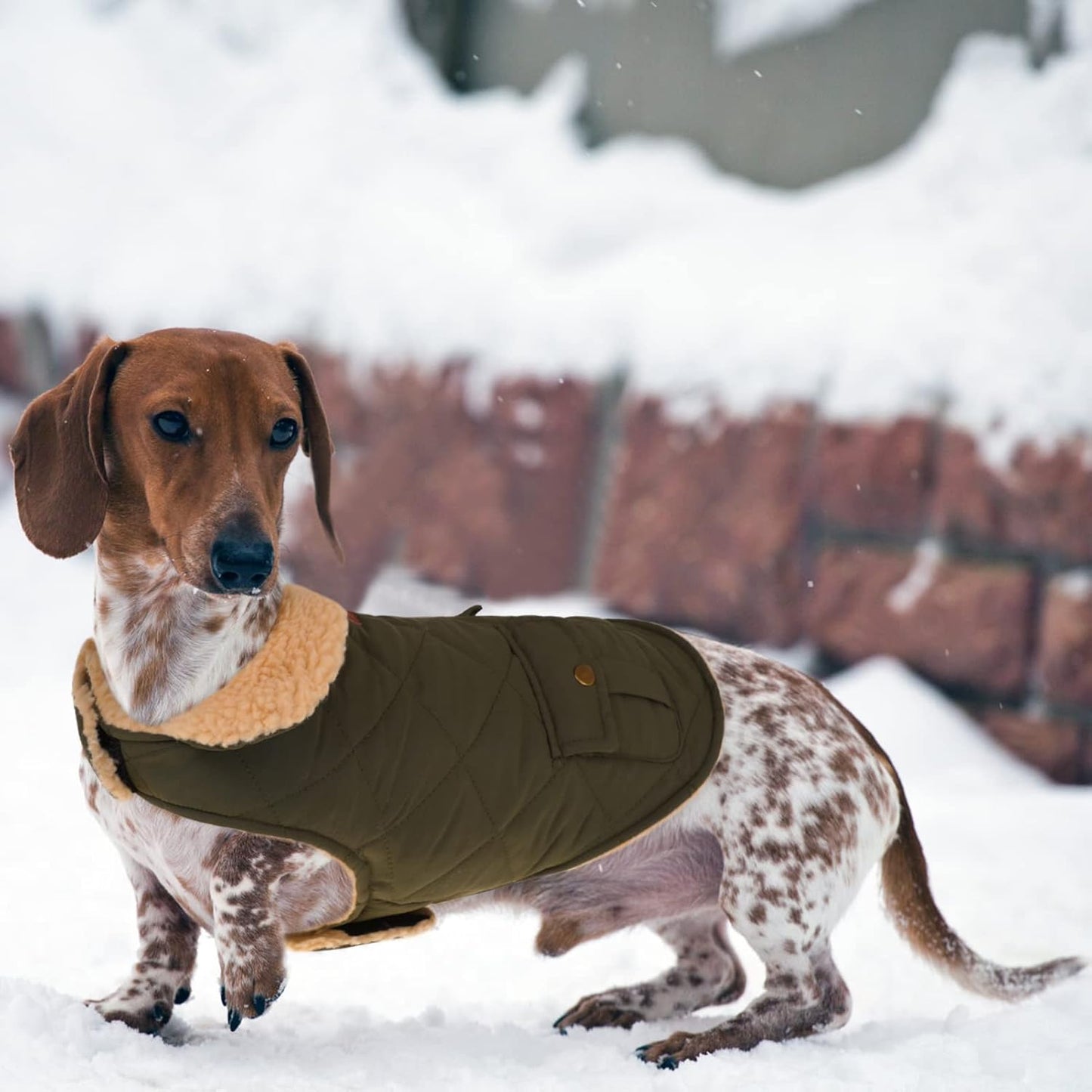 Queenmore Warm Dog Coat, Cold Weather Puffer Dog Jacket with Ultra Thick Plush Lining, Storage Pockets (Green, Large)