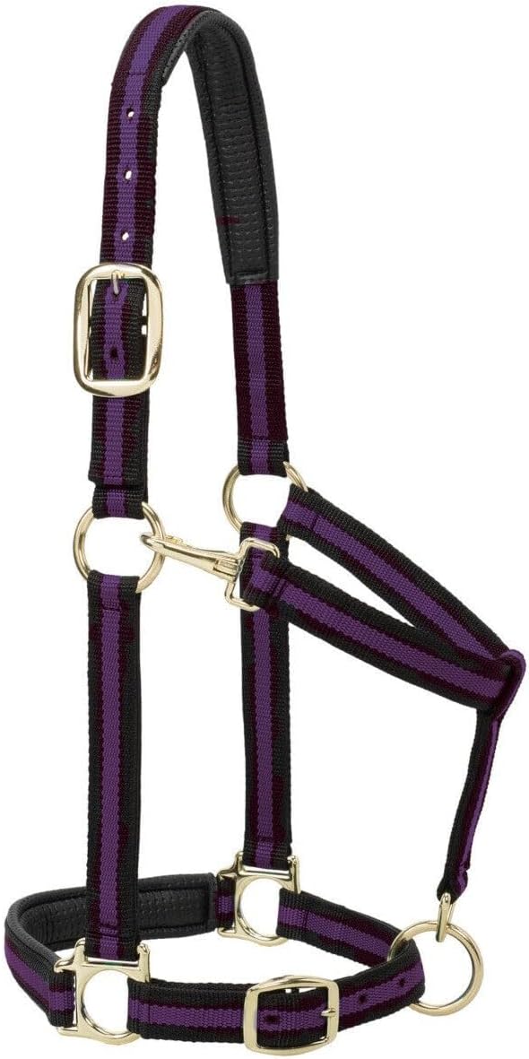 Weaver Equine Nylon Horse Halter, Triple-Ply Cheek Design, Original Non Adjustable Halters for Horses, Equine Tack,Average Size, Black