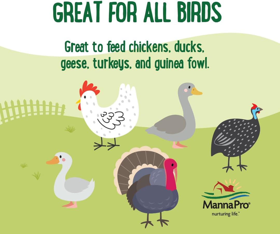 Manna Pro Farmhouse Favorites Quirky Quatro Crunch – 100% Natural Protein Treat for Mixed Flocks – Blend of Black Solider Fly Larvae, Mealworms, Beetles & Shrimp – 2lb
