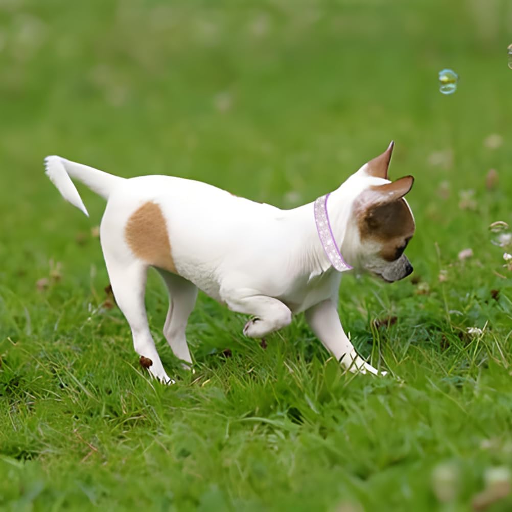 Bling Dog Collars for Large Dogs Female Diamond Fancy Crystal Glitter Pretty Jewel Rhinestone Puppy Collars for Small Medium Large Breed Pet Girl Dogs Cats Kitten, Pink L