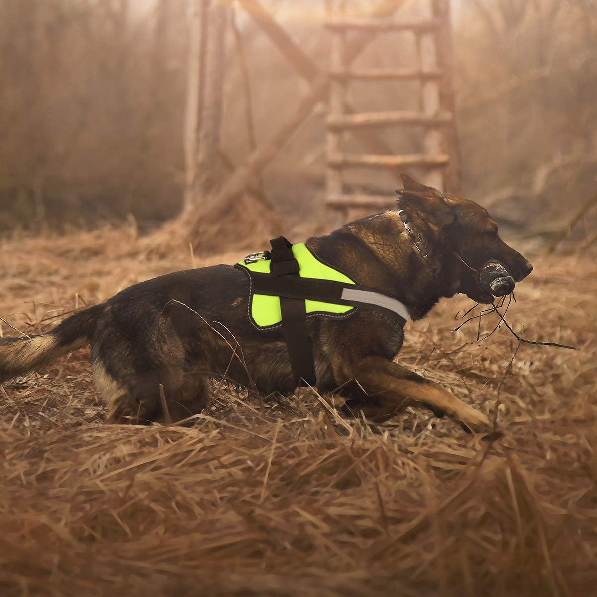 Bolux Dog Harness, No-Pull Reflective Dog Vest, Breathable Adjustable Pet Harness with Handle for Outdoor Walking - No More Pulling, Tugging or Choking (Green, XL)