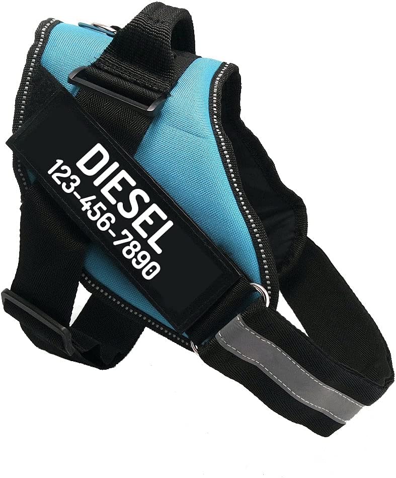 PawPawify Custom No Pull Dog Harness with Name and Phone Number, Heavy Duty Personalized Pet Vest to Prevent Tugging, Pulling, or Choking, Training and Walking (SkyBlue, L (40-60 LBS))