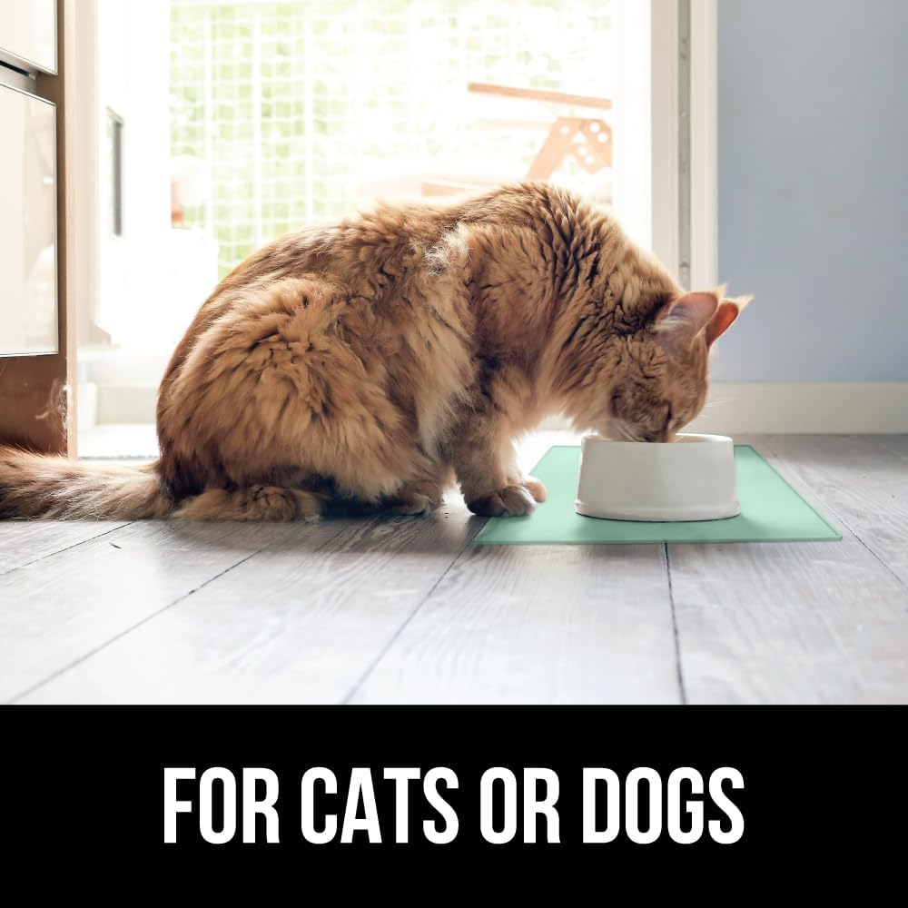 GORILLA GRIP 100% Waterproof Raised Edge BPA Free Silicone Pet Feeding Mat, Dog Cat Food Mats Contain Spills Protects Floors, Placemats for Cats and Dogs Water Bowl, Pets Accessories 16x10, Mint