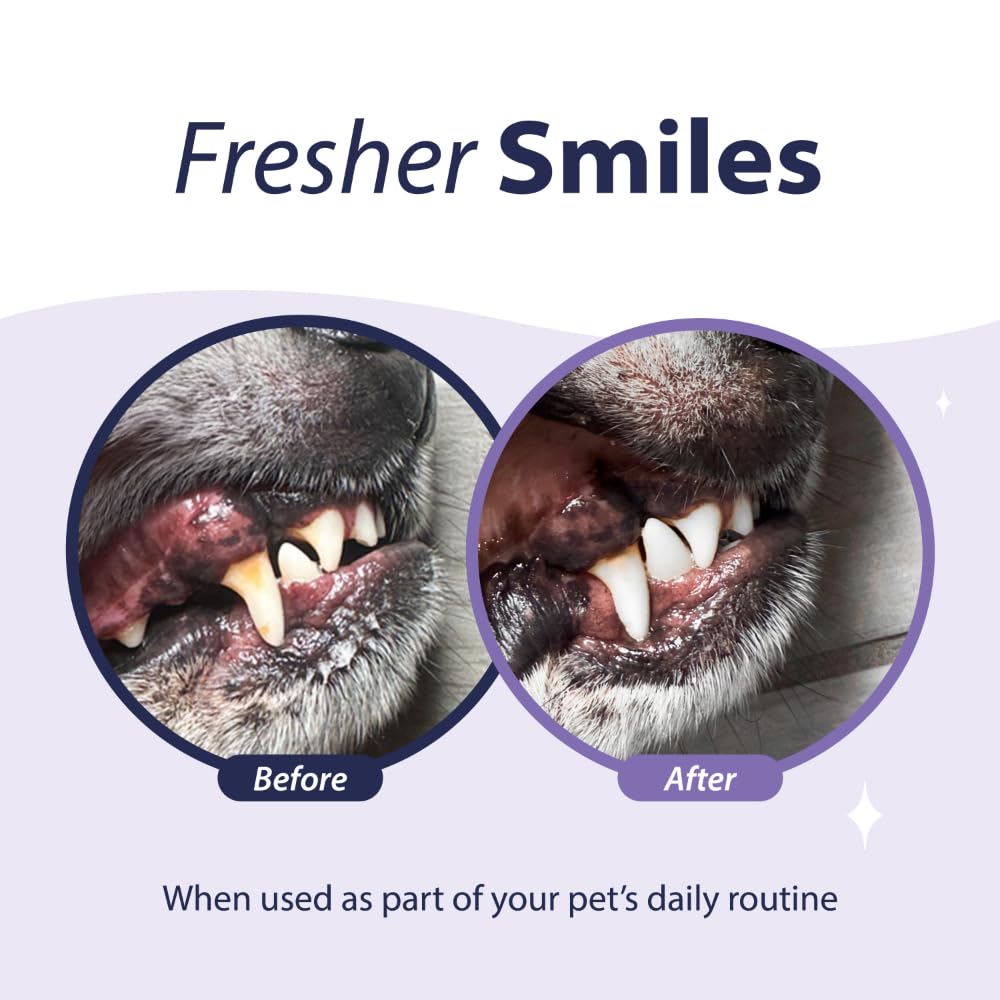 Dental Fresh Advanced Plaque and Tartar Water Additive, 8oz – Dog Teeth Cleaning Formula to Freshen Breath and Improve Overall Oral Health