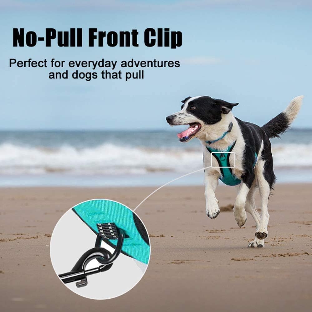 PoyPet No Pull Dog Harness, Reflective Comfortable Vest Harness with Front & Back 2 Leash Attachments and Easy Control Handle Adjustable Soft Padded Pet Vest for Small Medium Large Dogs (Mint Blue,M)