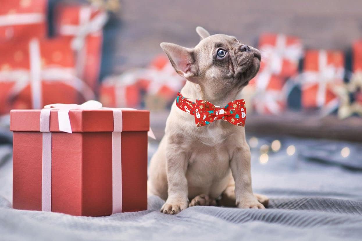 Lionet Paws Christmas Dog Collar with Bowtie, Dog Bowtie Collar with Metal Buckle for Dogs and Cats, Adjustable Comfortable Dog Collar Girl Boy Gift，XXS, Neck 7-11 in