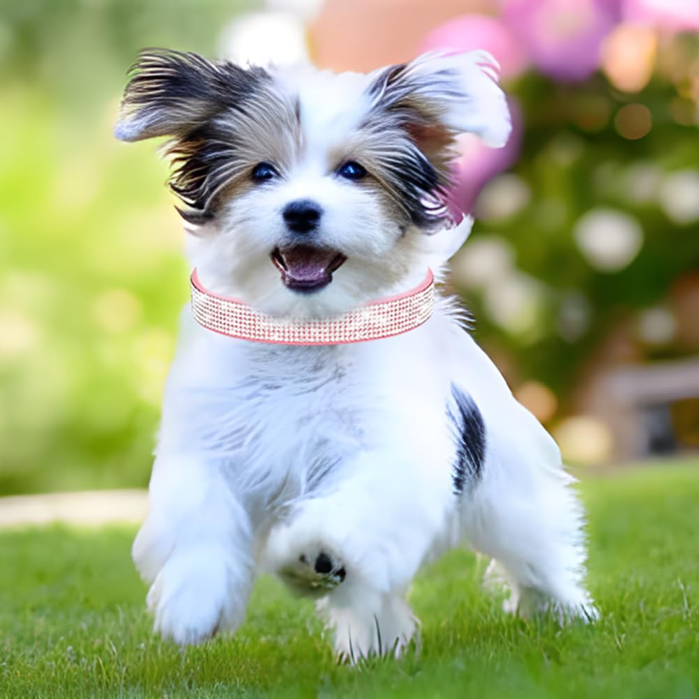 Rhinestone Dog Collar for Small Dogs, Bling Diamond Fancy Crystal Glitter Pretty Jewel Pet Puppy Collars for XXS XS Small Medium Large Breed Girl Dogs Female Cats Kitten, Hot Pink XSmall