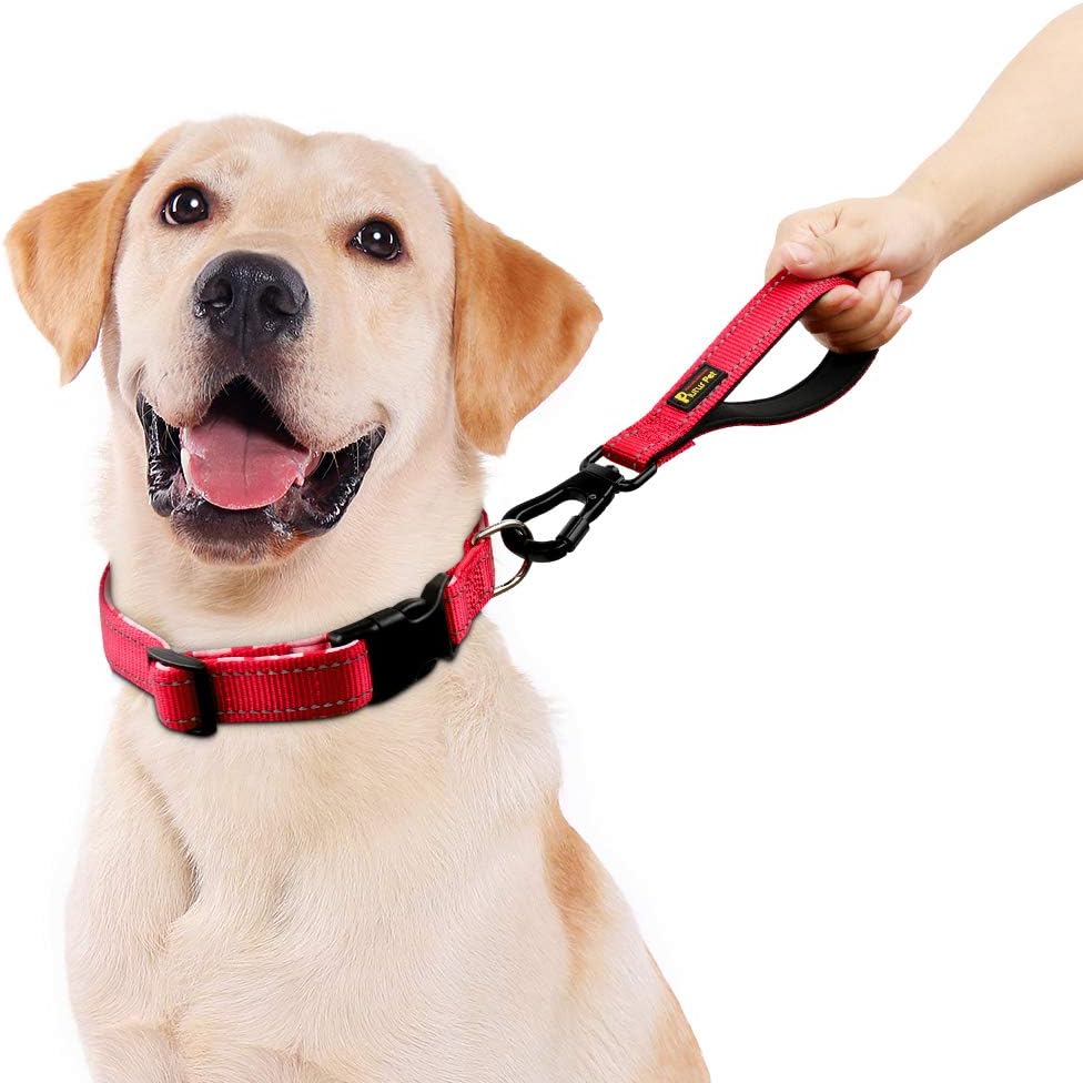 PLUTUS PET 10” Short Dog Leash, Reflective Nylon Padded Handle, Strong Traffic Leash with Carabiner Clip, Perfect for Large or Medium Dogs（10”，Red