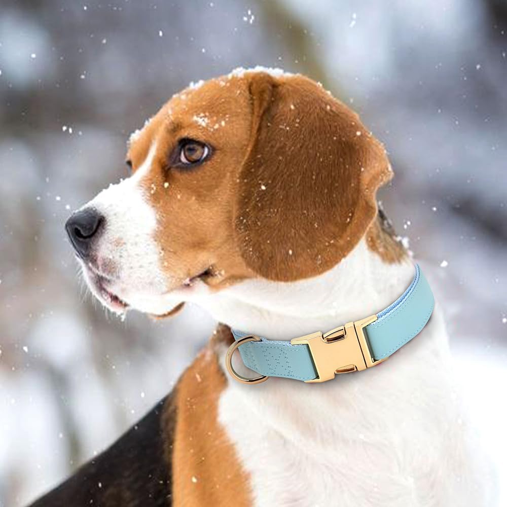 PET ARTIST Soft PU Leather Dog Collar for Medium Dogs, Bright & Classic Nylon Padded Durable Dog Collar Leather with Quick Release Metal Buckle Adjustable for Male Dogs, Neck Fit 13-19"
