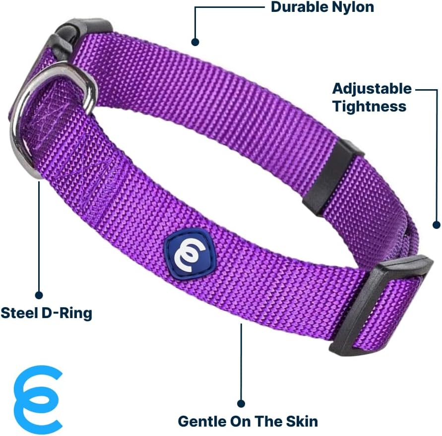 Blueberry Pet Essentials Small Dog Collar | Girl Dog Collars Fall | Female Dog Collar Small | Dark Orchid Dog Collars for Small Dogs | Quick Release Dog Collar | Dark Orchid Nylon Dog Collar