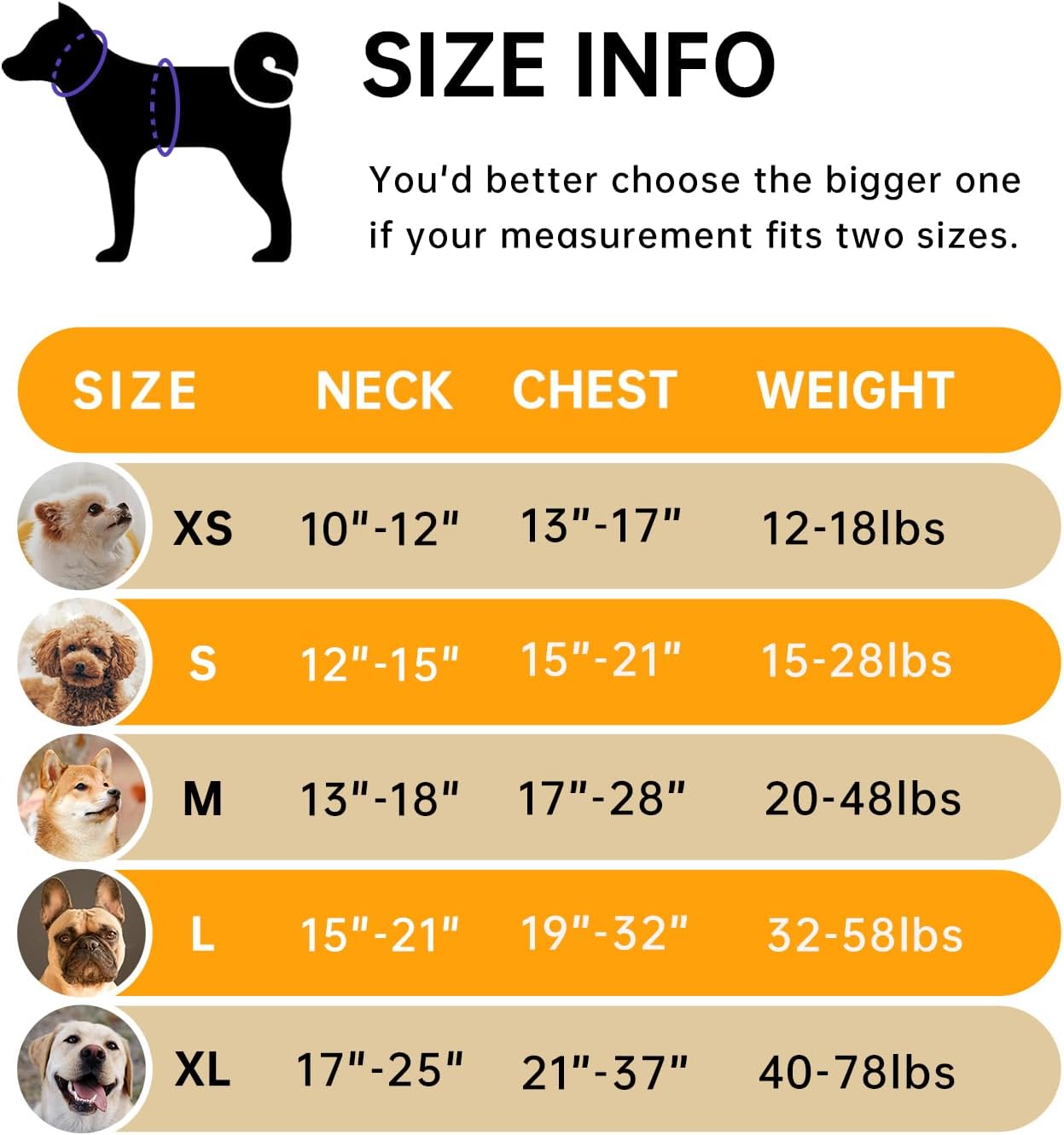 IVY&LANE No Pull Dog Harness for Medium Dogs, Dog Vest Harness with Leash, Safety Belt and Storage Strap, Fully Adjustable Harness, 360° Reflective Strip, Soft Handle (Orange, M)