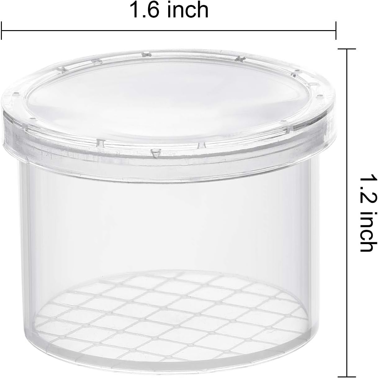 Coopay 20 Pieces Bug Viewer Critter Insect Cage Magnifying Insect Box Bug Magnifier Container Catcher Cage, Science Nature Exploration Tools