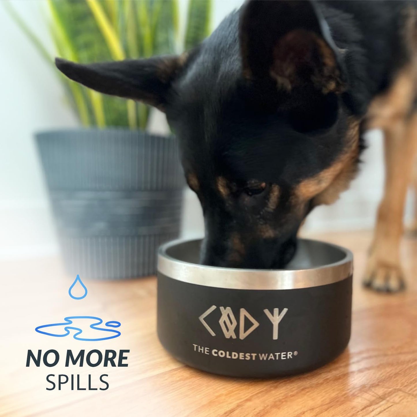 Coldest Dog Bowl - Anti Rust Metal, Non Slip, 3 Layers Insulated Stainless Steel Dog Bowls - Spill Proof & Heavy Duty - Water Bowl for Dogs, Cats & Pets, Dish Washer Safe (21 oz,Cotton Candy Pink)