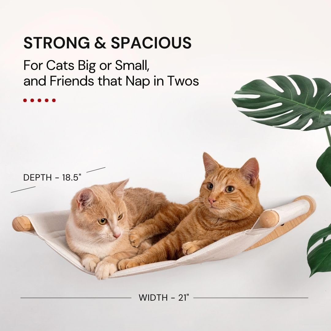 7 Ruby Road Cat Hammock Wall Mounted Shelf with Two Steps Set - Wall Shelves and Perches for Sleeping, Playing, Climbing and Lounging - Modern Cat Bed & Furniture for Indoor and Large Cats or Kitty