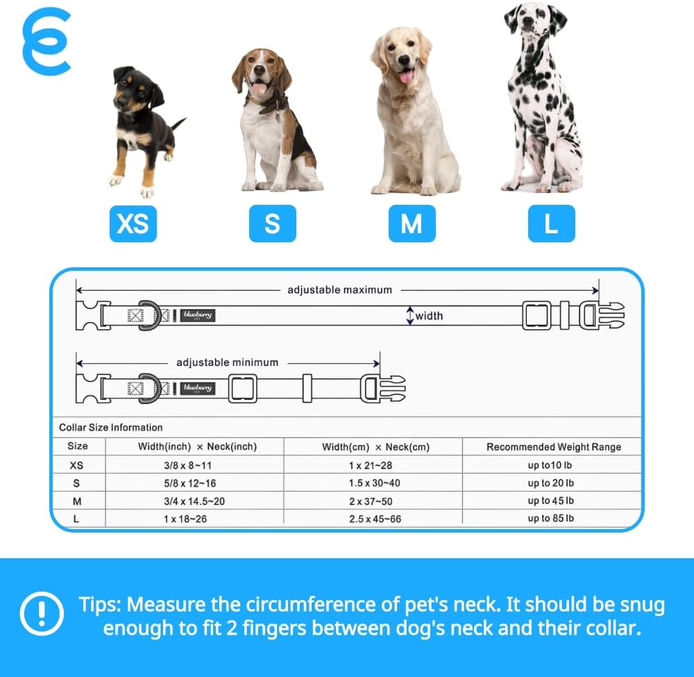 Blueberry Pet Essentials Matching Large Dog Collar | Adjustable Classic Solid Color Nylon Dog Collars for Large Dogs | Chambray Blue Dog Collar for Large Dogs