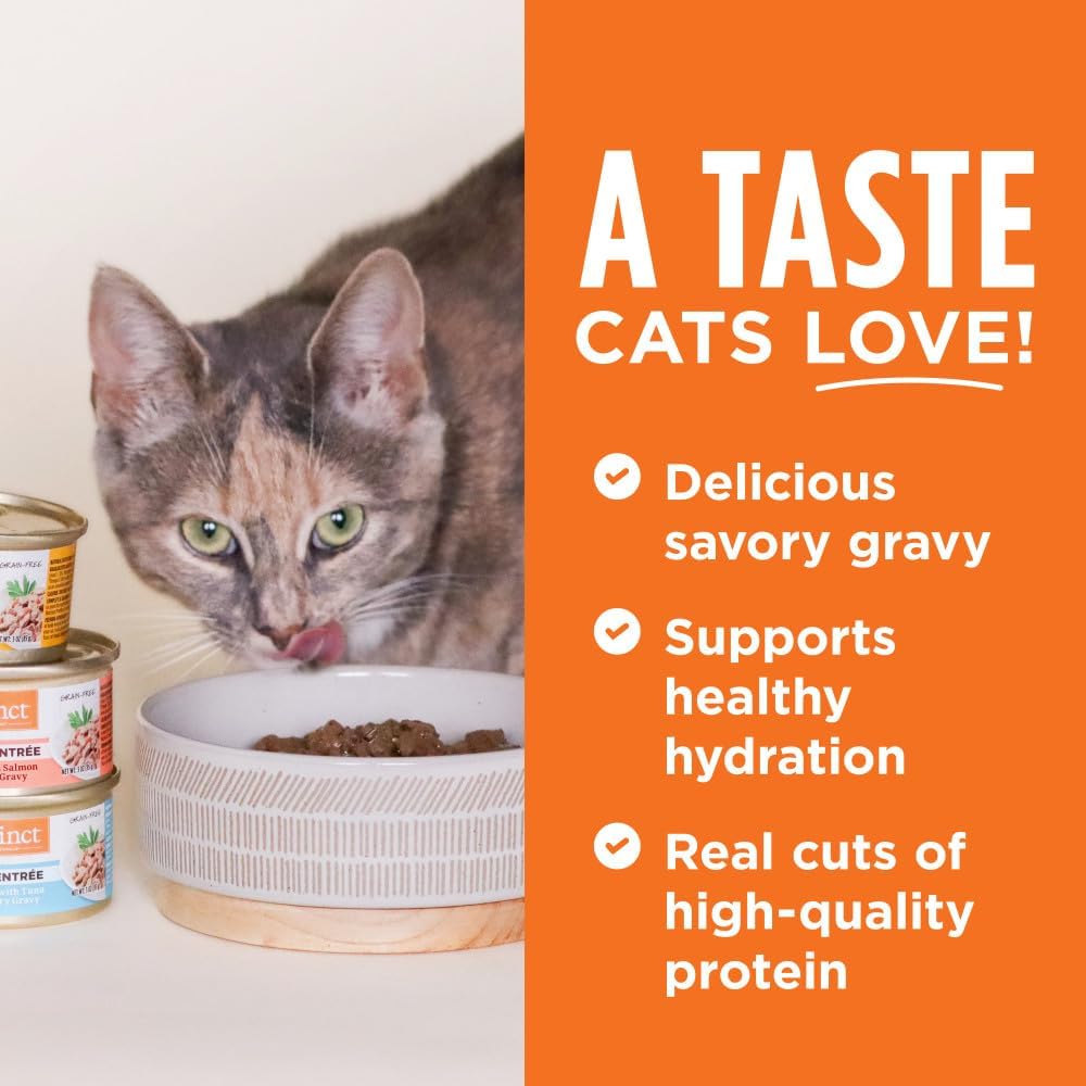 Instinct Flaked Entrée Wet Canned Cat Food - Chicken, 3 oz. Cans (Pack of 24)