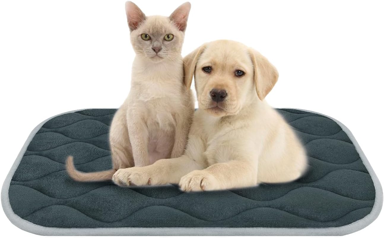 furrybaby Dog Crate Pad for Dog Cages Flat Crate Mat Kennel Pad with Anti-Slip Bottom Machine Washable for Pet Bed Sleeping (S 24x18'', Grey Mat)
