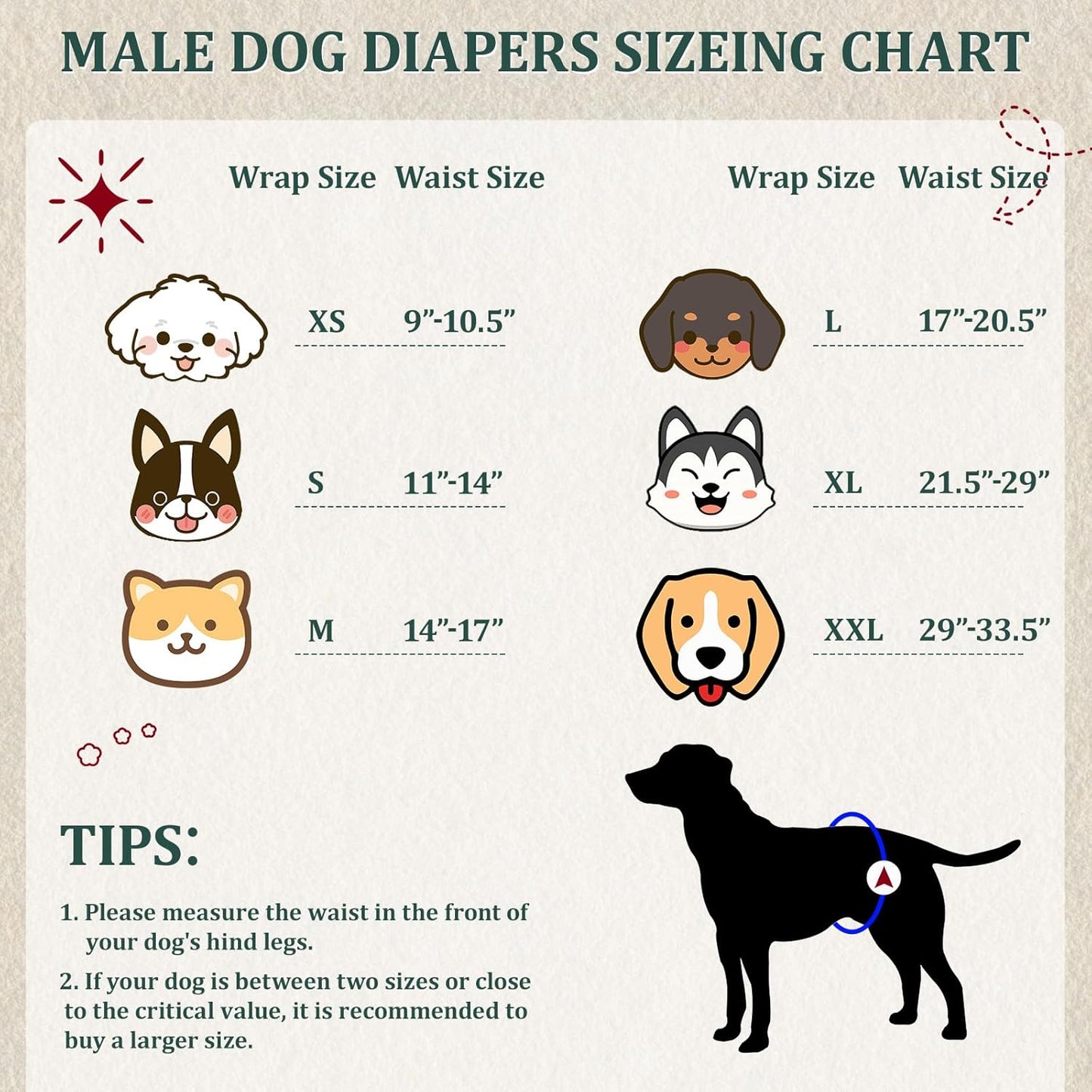 Reusable Dog Diapers Male, Premium Washable Belly Bands for Dogs, Pack of 5, High Absorbing Medium Male Dog Wraps for Doggie & Puppy in Incontinence or Excitable Urination and Training(M)