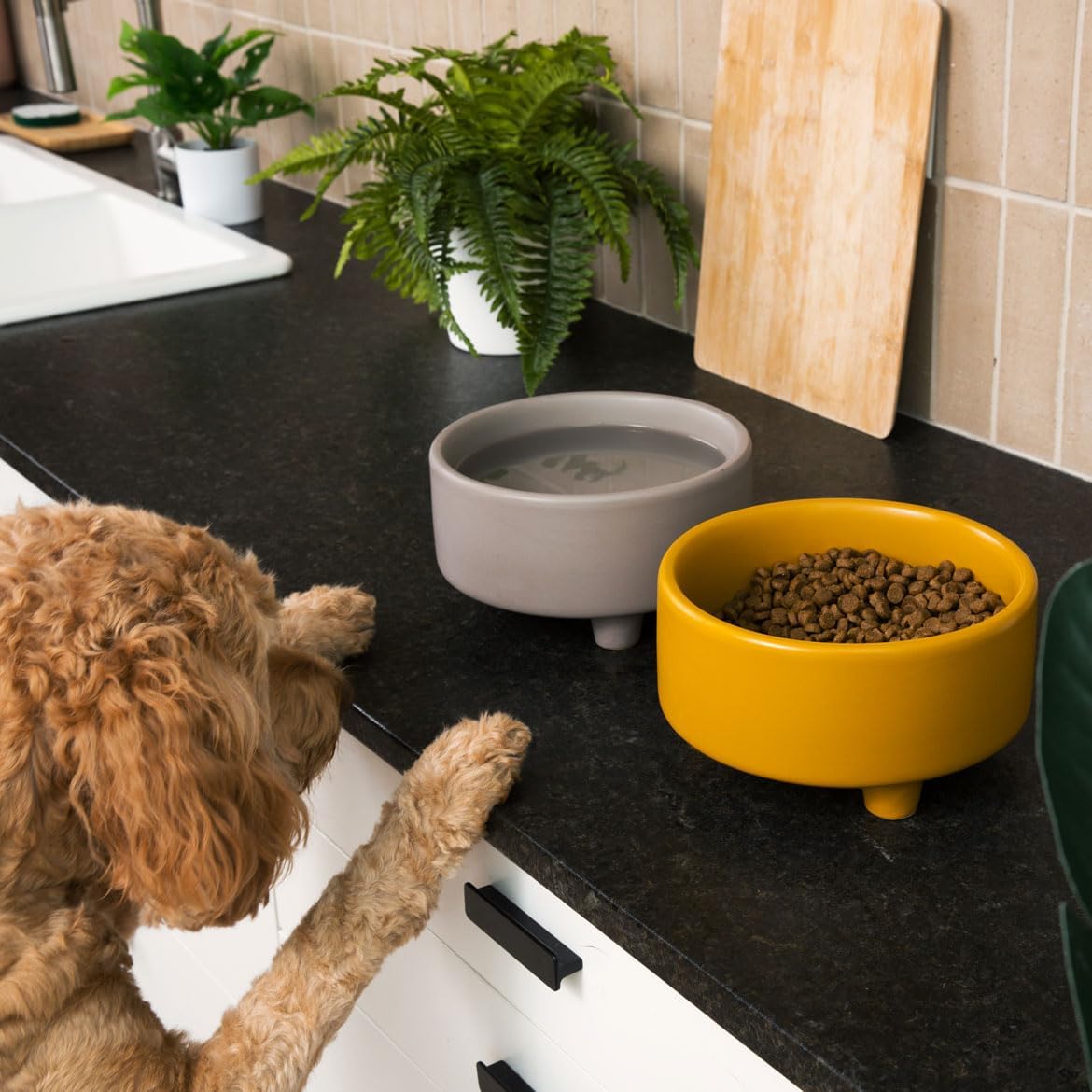 Waggo Uplift Ceramic Dog Bowl for Small Medium and Large Breeds - Heavyweight and Durable Pet Food and Water Dish Crock, Dishwasher Safe, Modern, Elevated Feeder (Vintage Grey, Small)
