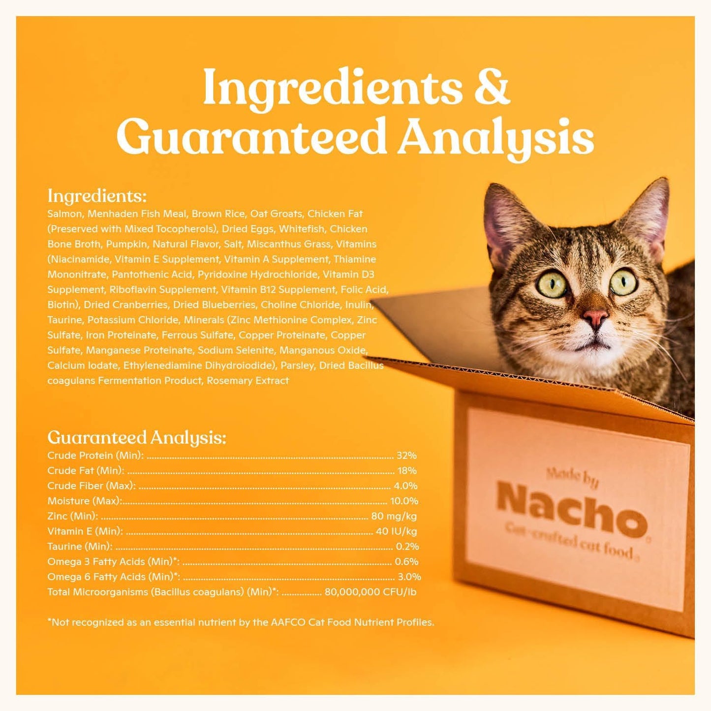 Made by Nacho Dry Cat Kibble 11lb Bag, High Protein and Grain-Friendly Premium Cat Food, Sustainably Caught Salmon and Pumpkin, Infused with Bone Broth for Hydration, Limited Ingredients, Single Bag